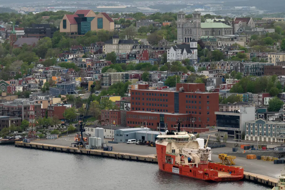 Multi-Brawl Game That Drew 572 Penalty Minutes a ‘Black Eye’ on NL Hockey: Official