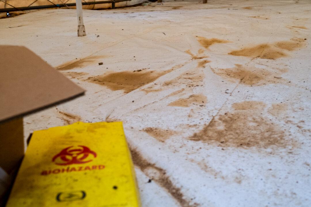 (Left–Right) A Cholera isolation area awaits patients outside of Monkey Bay, Malawi, on Feb. 18, 2026. Highly contagious, the disease requires isolation of the affected to prevent spreading, along with hydration treatments for recovery. (John Fredricks/The Epoch Times)