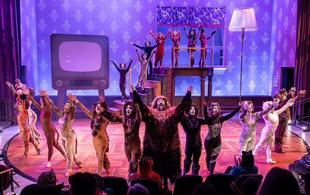 The cast of "Cats." (Brett Beiner)
