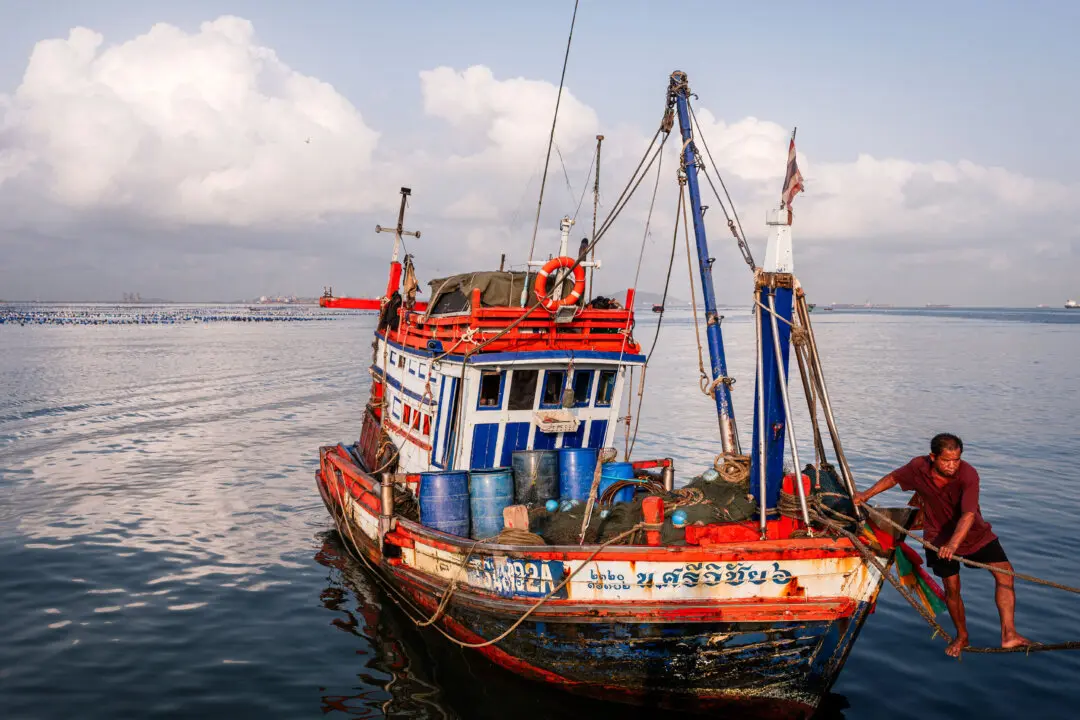 Day in Photos: ‘Green Oil’ Price Surge, Pakistani Air Strike, and Vinyl Record Collection