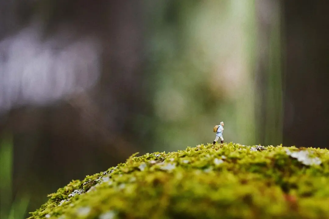 The Quiet Disciplines Behind a Good Life