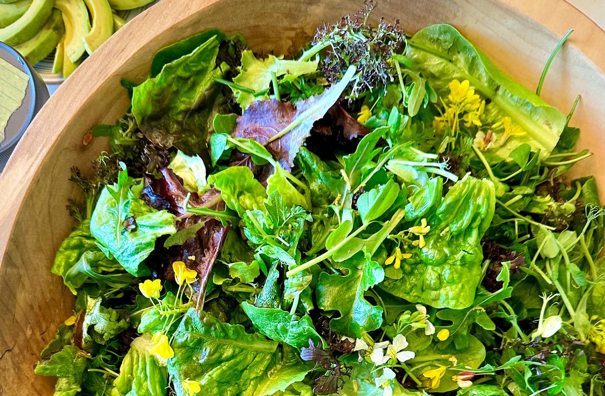 Do Not Underestimate a Green Salad