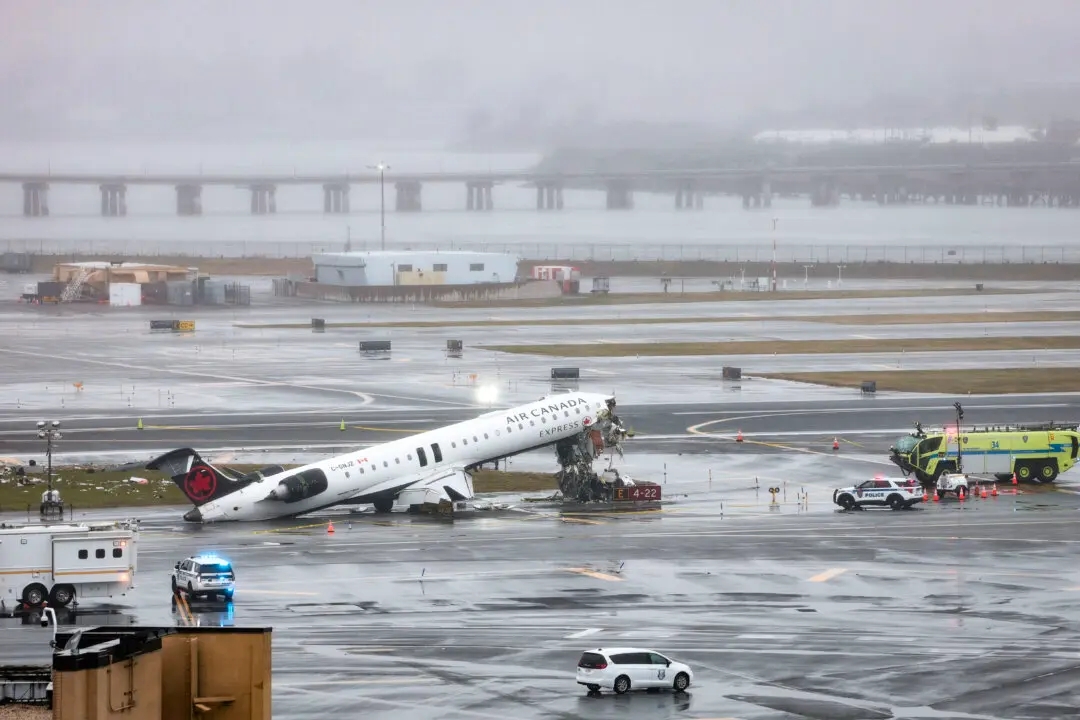 Day in Photos: Plane Collides With Fire Truck, ICE Deployed at Some Airports, and Dog at Tidal Basin in Washington