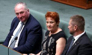 One Nation Continues to Lead Vote Count in 4 South Australian Seats