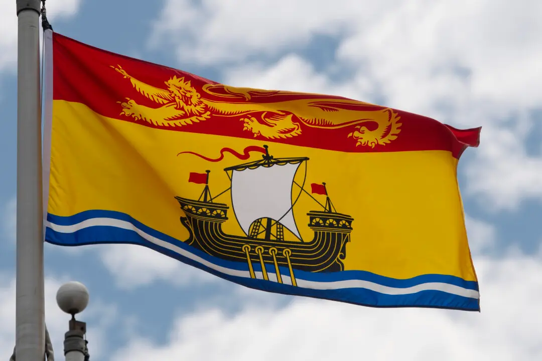 New Brunswick Government Hoping to Restart Critical Mineral Mine South of Fredericton