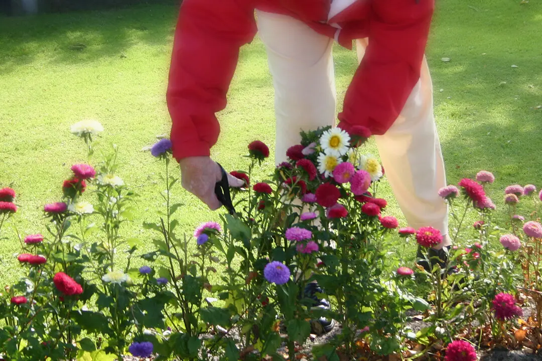 How Can I Make the Most of Spring Gardening?