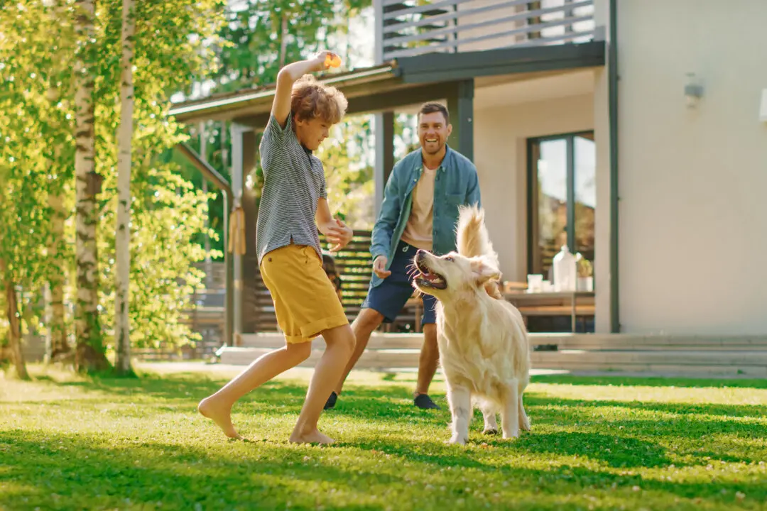 Lawns, Part 1: Selection and Prep