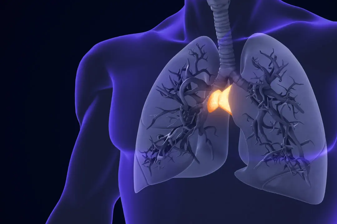 The Overlooked Organ Linked to Longevity