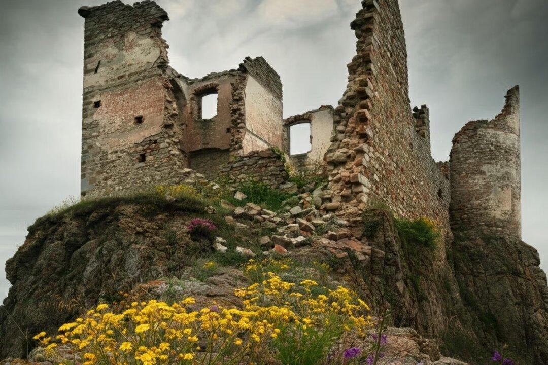 How to Build a Post-WHO Global Health Architecture