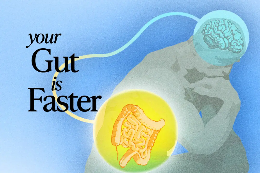Where Gut Feelings Really Come From