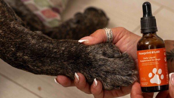 Dog Owners Choose PawPrint Protocol to Reverse Their Dog's Aging