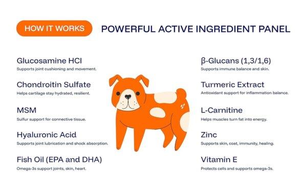 Dog Owners Choose PawPrint Protocol to Reverse Their Dog's Aging