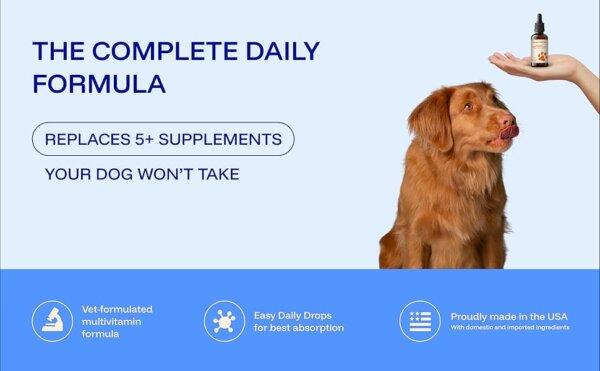 Dog Owners Choose PawPrint Protocol to Reverse Their Dog's Aging