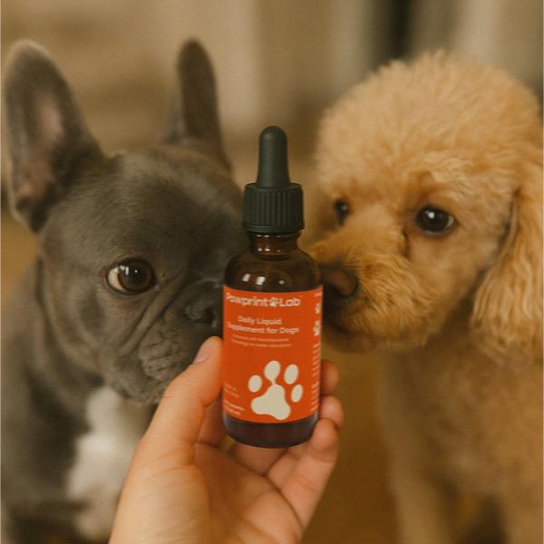 Dog Owners Choose PawPrint Protocol to Reverse Their Dog's Aging