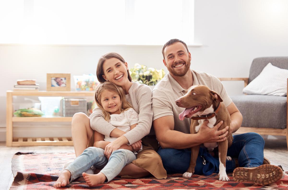 The Best National Pet Day Gifts That Pet Owners Will Actually Use