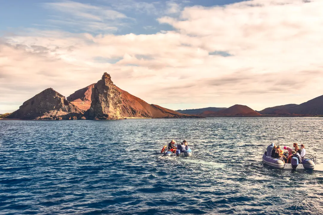 Voyage to the Strange but Beautiful Galápagos