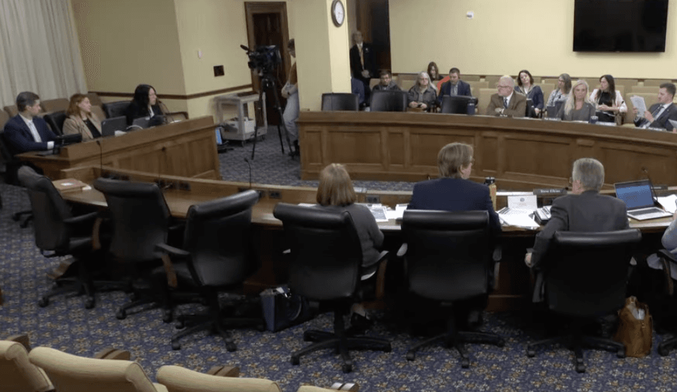 The Minnesota Fraud Prevention and State Agency Oversight Policy Committee meets in St. Paul, Minnesota, on April 7, 2026. (Screenshot via The Epoch Times/The Minnesota House of Representatives' video livestream)