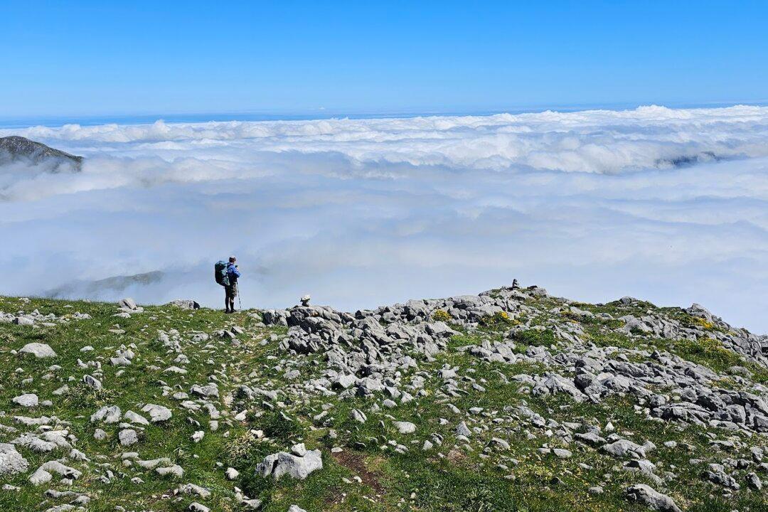 A Place of Greater Safety