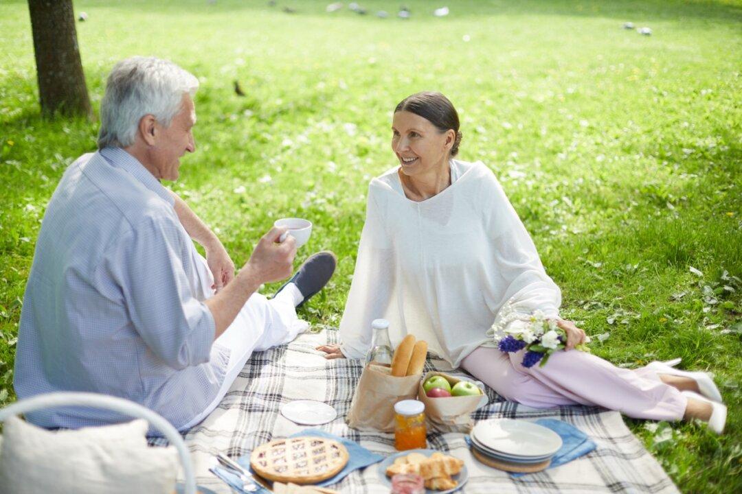 Everything You Need for a Good Picnic