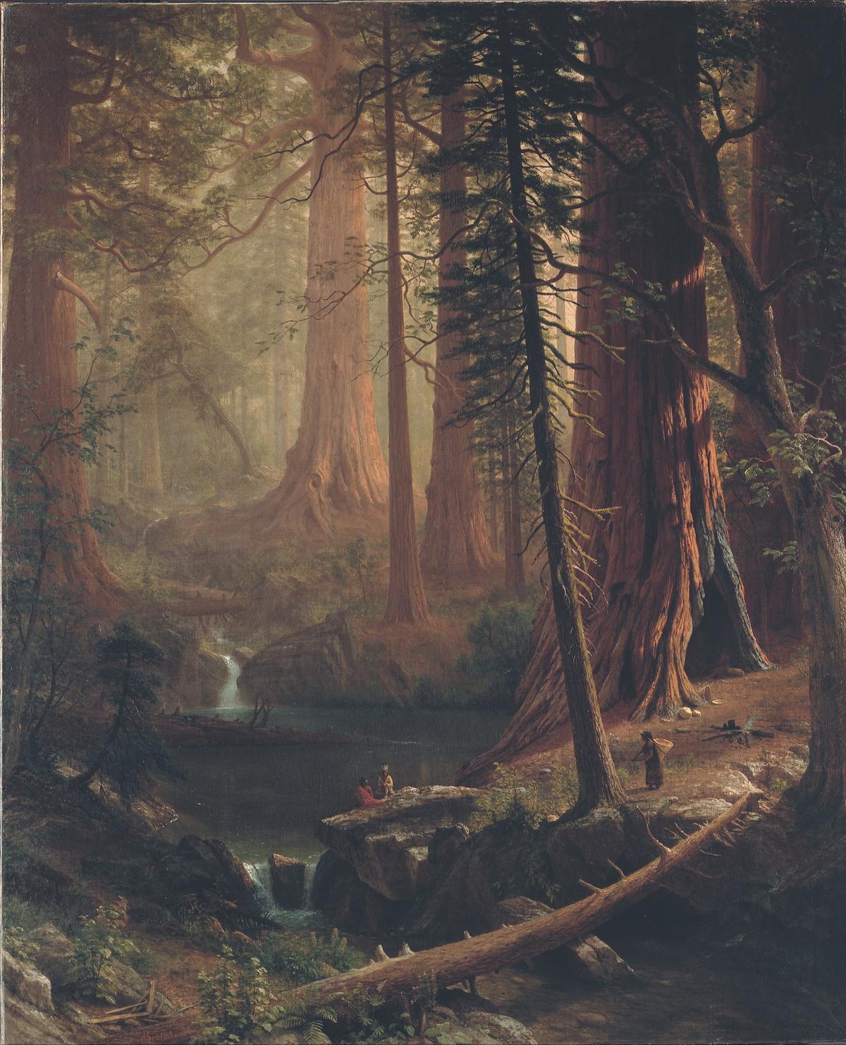 "Giant Redwood Trees of California," 1874, by Albert Bierstadt. Oil on canvas; 65 1/2 inches by 54 1/2 inches. Private collection. (Public Domain)