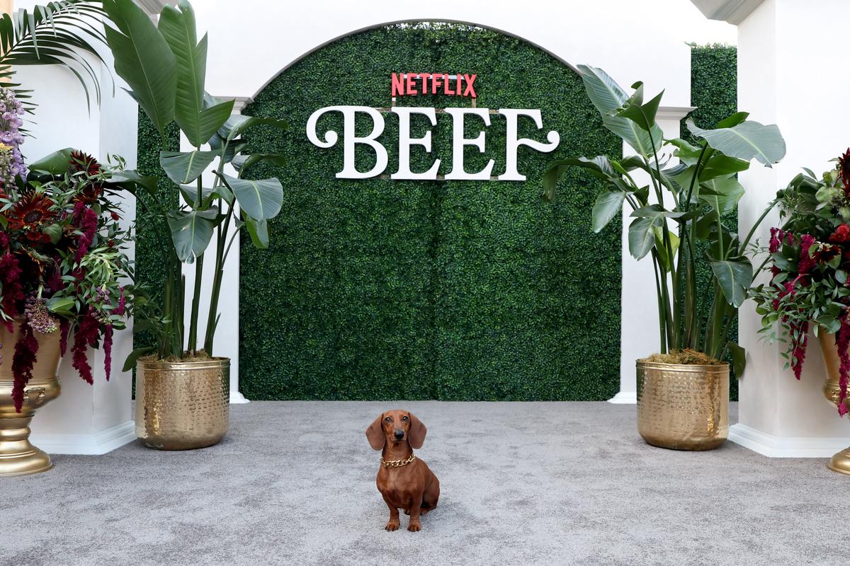 Jones attends Netflix's "Beef" season 2 world premiere at The Egyptian Theatre Hollywood in Los Angeles on April 8, 2026. (Monica Schipper/Getty Images for Netflix)