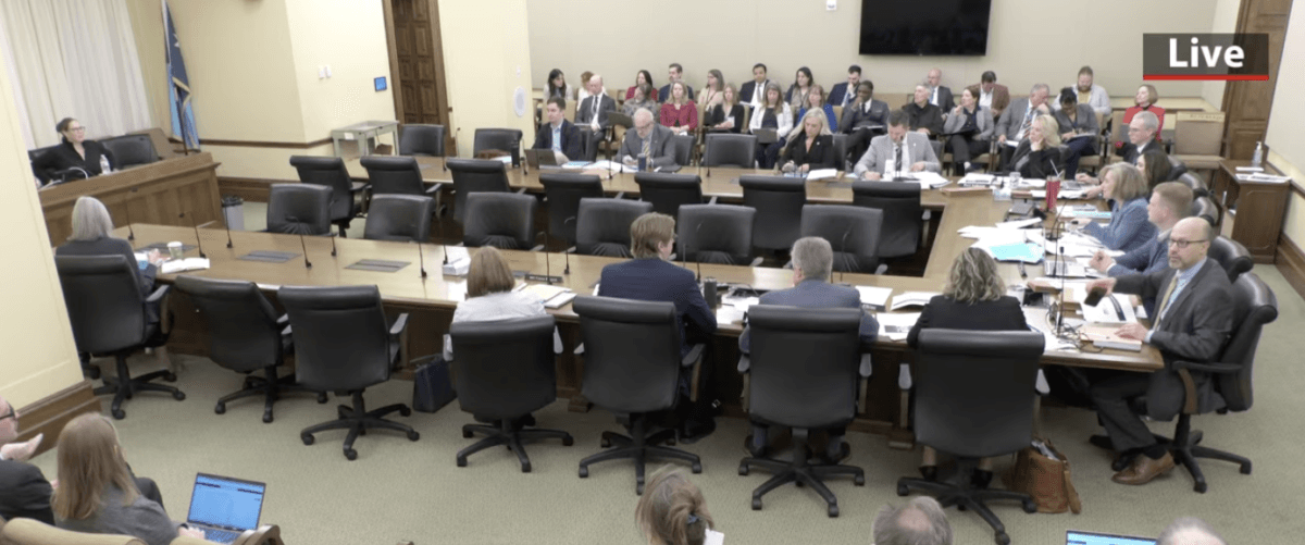 The House Fraud Prevention and State Agency Oversight Policy Committee meets in St. Paul, Minn., on April 13, 2026. (Screenshot via The Epoch Times/Livestream from the Minnesota House of Representatives)