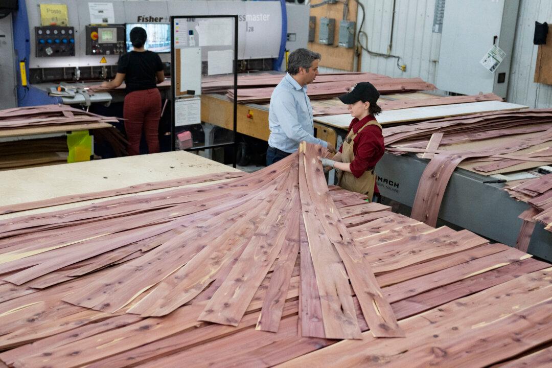 CBSA Launches Probe Into Possible Dumping of Chinese Plywood