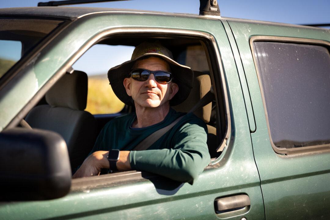 Plan to Cull All Deer on a California Island Is Dividing Conservationists