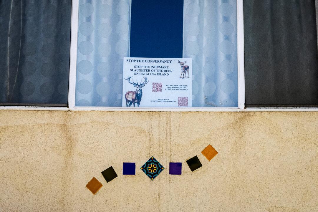 A resident displays a sign supporting Catalina Island’s deer population in Avalon, Calif., on March 18, 2026. (John Fredricks/The Epoch Times)