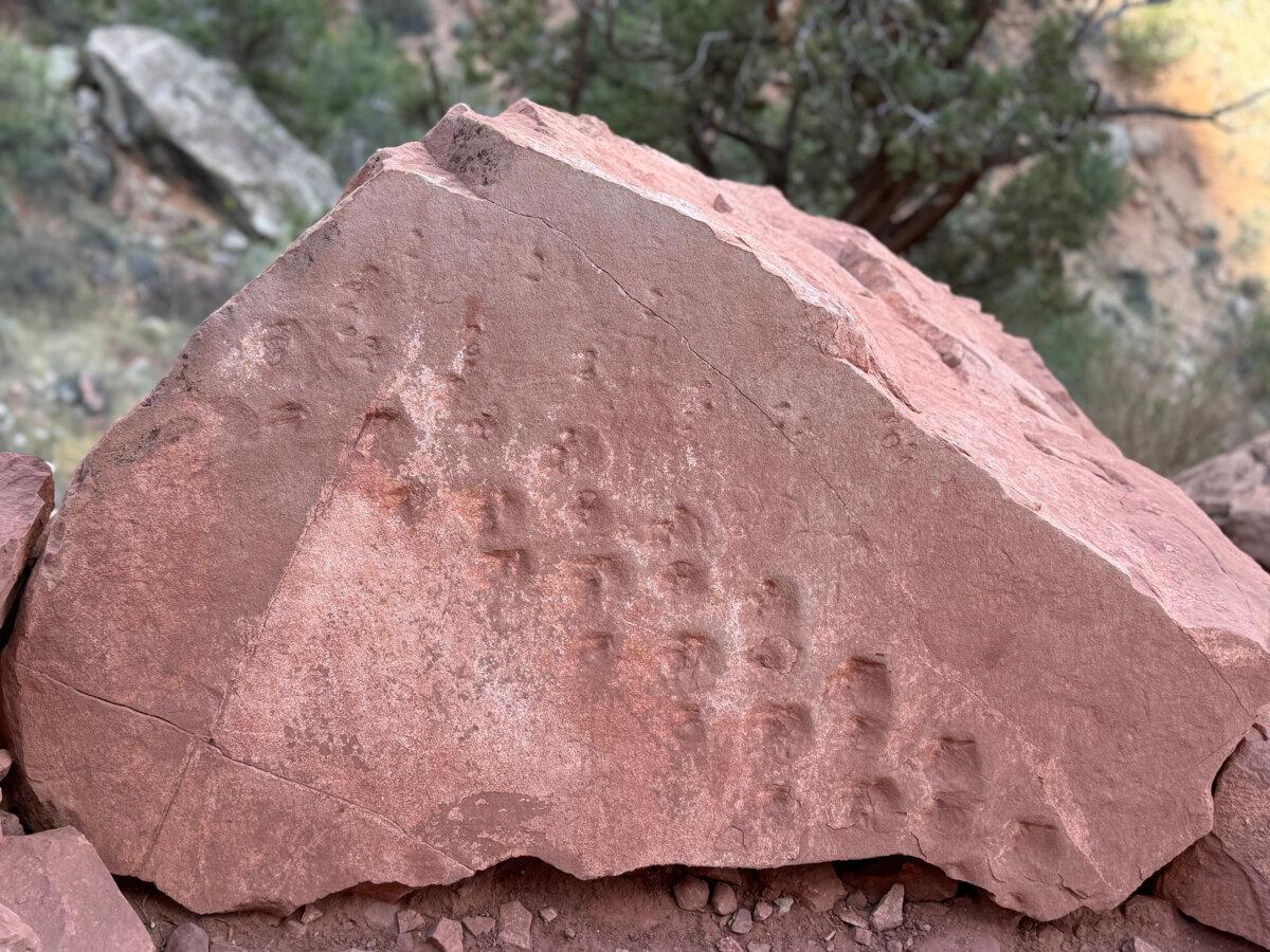 A boulder on Bright Angel Trail shows reptilian footprints dating back more than 300 million years—the oldest vertebrate fossil tracks ever found within the park's 1.2 million acres. (Lori Rackl/TNS)
