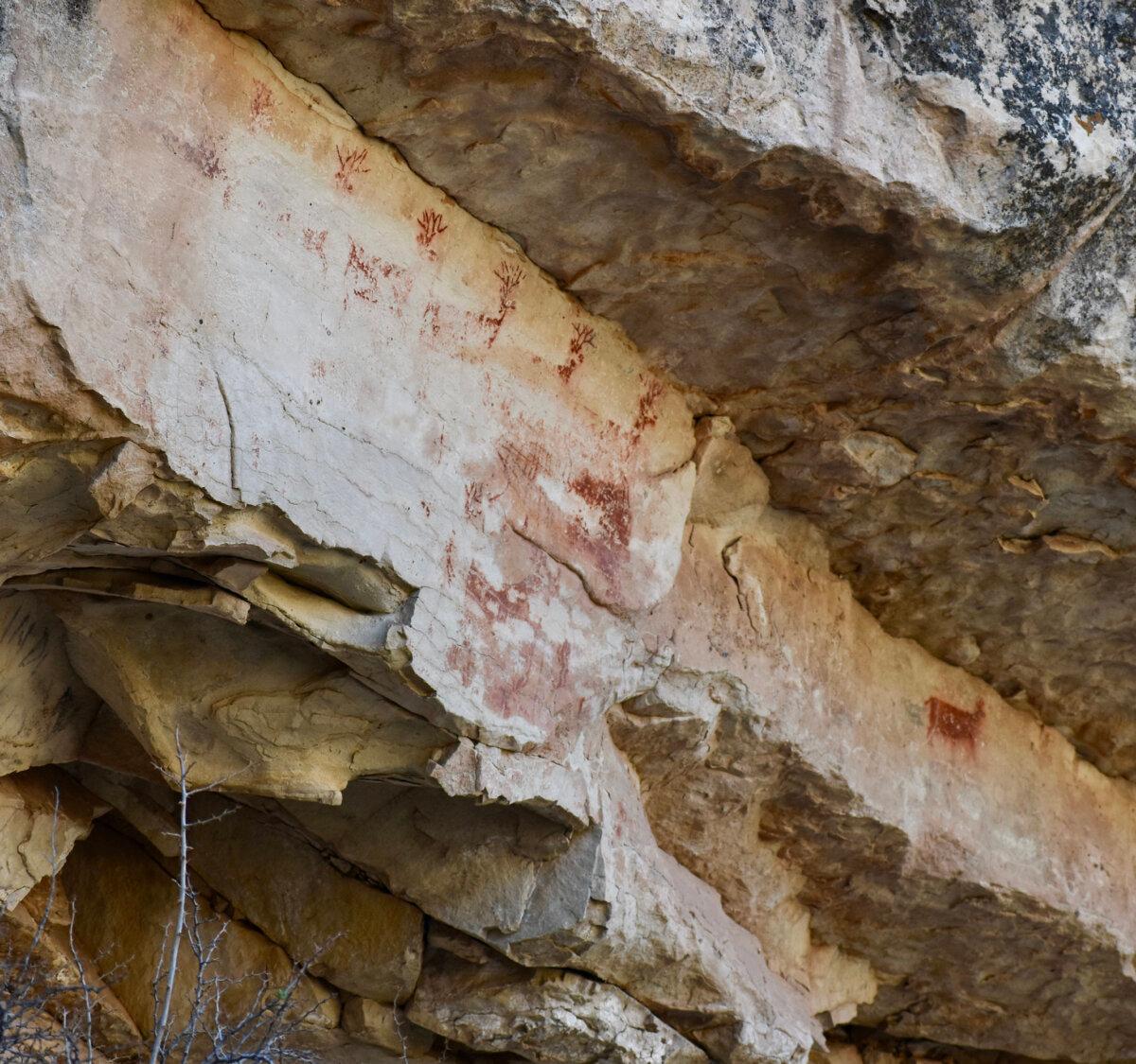 Looking up from Bright Angel Trail, a row of red pictograph deer are visible under an overhang. (Lori Rack/TNS)