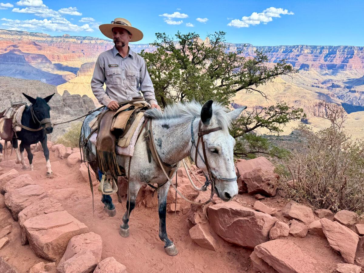 Mule trains take provisions and people up and down the steep canyon. (Lori Rackl/TNS)