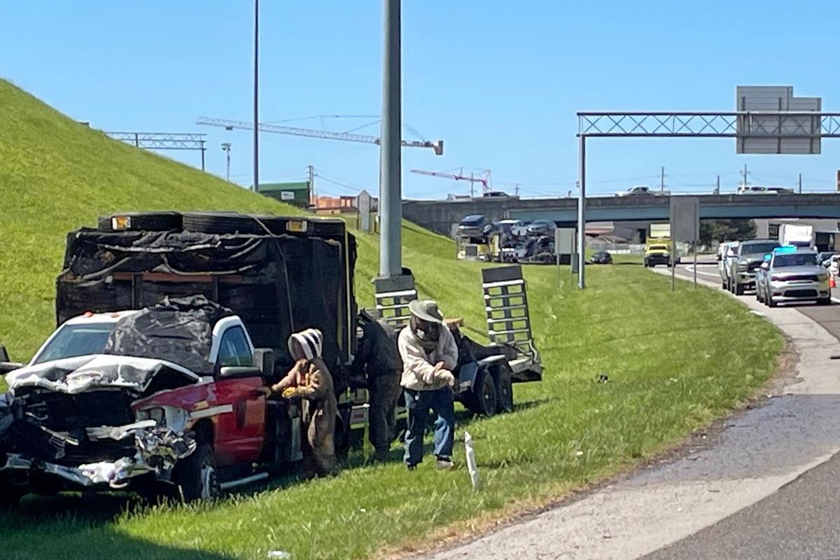 1 Million Bees Make for Bumper-to-Buzzer Traffic on Tennessee Highway Ramp