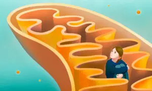 Mitochondrial Dysfunction: An Underlying Driver of Autism and What May Help