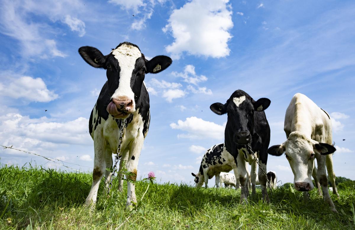 Farming Groups Applaud Private Member’s Bill Aimed at Speeding up Product Approvals