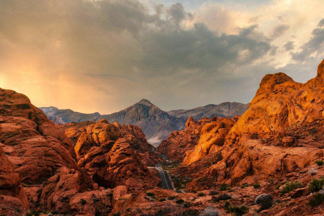 Could Nevada Become a Red State?