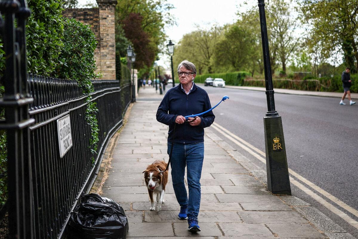 Former UK Ambassador to the United States Peter Mandelson walks his dog near his residence in central London on April 20, 2026. (Henry Nicholls/AFP via Getty Images)