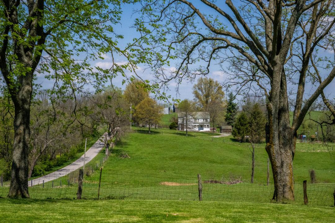A view from the farm of Ida Huddleston and her daughter Delsia Bare looking toward the distant farmhouse of Delsia’s brother, Robert Huddleston III, in Maysville, Ky., on April 10, 2026. (Glenn Hartong for The Epoch Times)