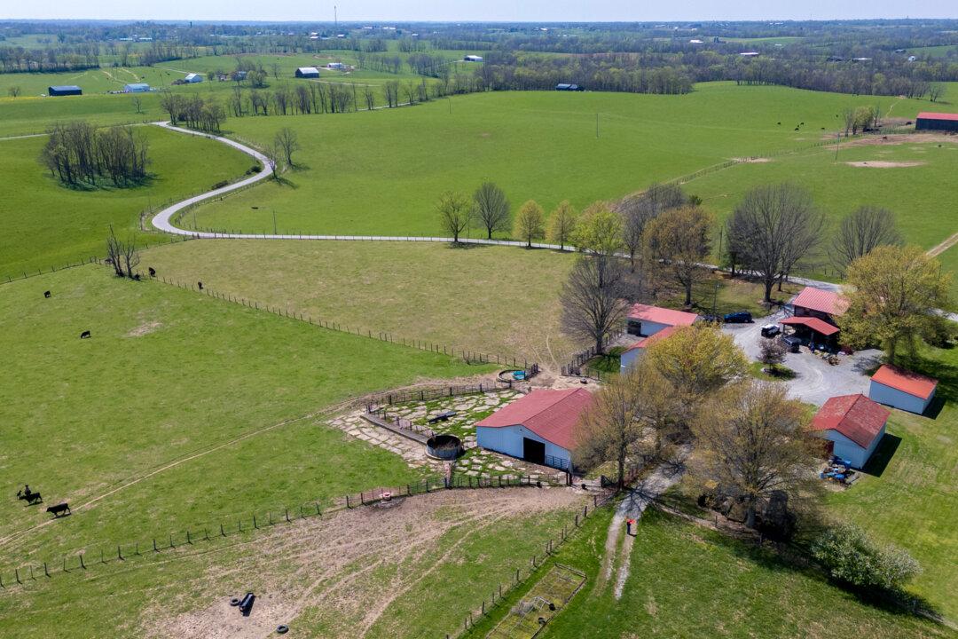 The farm of Ida Huddleston and her daughter Delsia Bare is shown on Big Pond Pike in Maysville, Ky., on April 10, 2026. The Huddleston family has farmed the land for more than 200 years, and currently has around 200 head of beef cattle and grows its own hay, soybeans, and corn. (Glenn Hartong for The Epoch Times)
