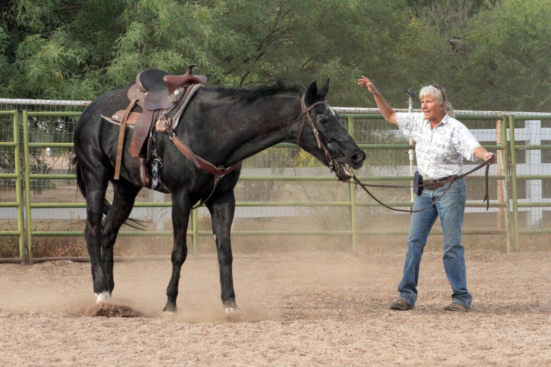 Arizona Cowboy College owner Lori Bridwell at her facility in Scottsdale, Ariz., on April 13, 2026. The life of a cowboy is harsh, but rewarding beyond measure, Bridwell said. (Richard Moore/The Epoch Times)