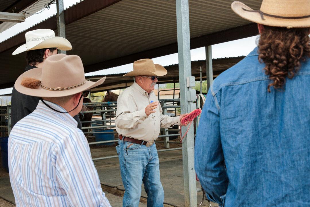Arizona Cowboy College senior instructor Rocco Wachman instructs attendees in how to groom a horse and why it is important to do it correctly, in Scottsdale, Ariz., on April 13, 2026. (Richard Moore/The Epoch Times)