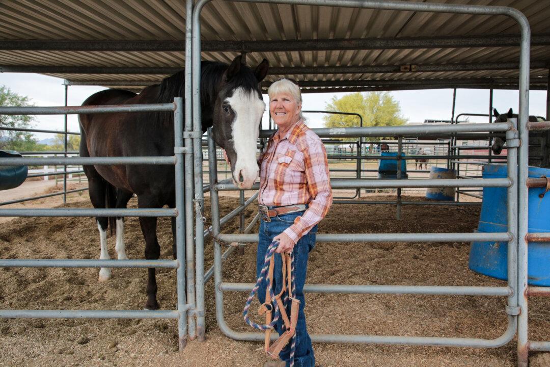 Arizona Cowboy College owner Lori Bridwell, 67, at her facility in Scottsdale, Ariz., on April 13, 2026. Bridwell’s philosophy of being a straight shooter in word and deed is central to her school and to cowboy culture. (Richard Moore/The Epoch Times)