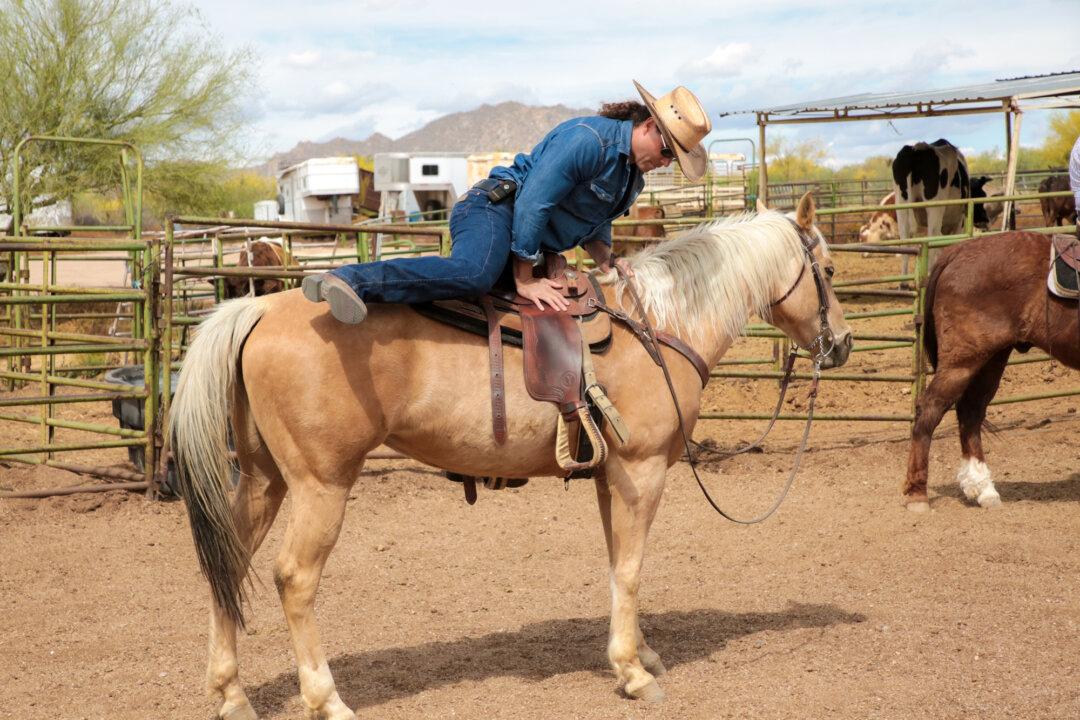 A Taste of American Legacy: 5 Days in Cowboy College