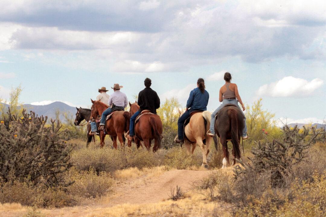 Arizona Cowboy College trains Western enthusiasts in the skills used by cowboys—riding, roping, grooming, and safety around horses—at its facility in Scottsdale, Ariz., on April 13, 2026. (Richard Moore/The Epoch Times)
