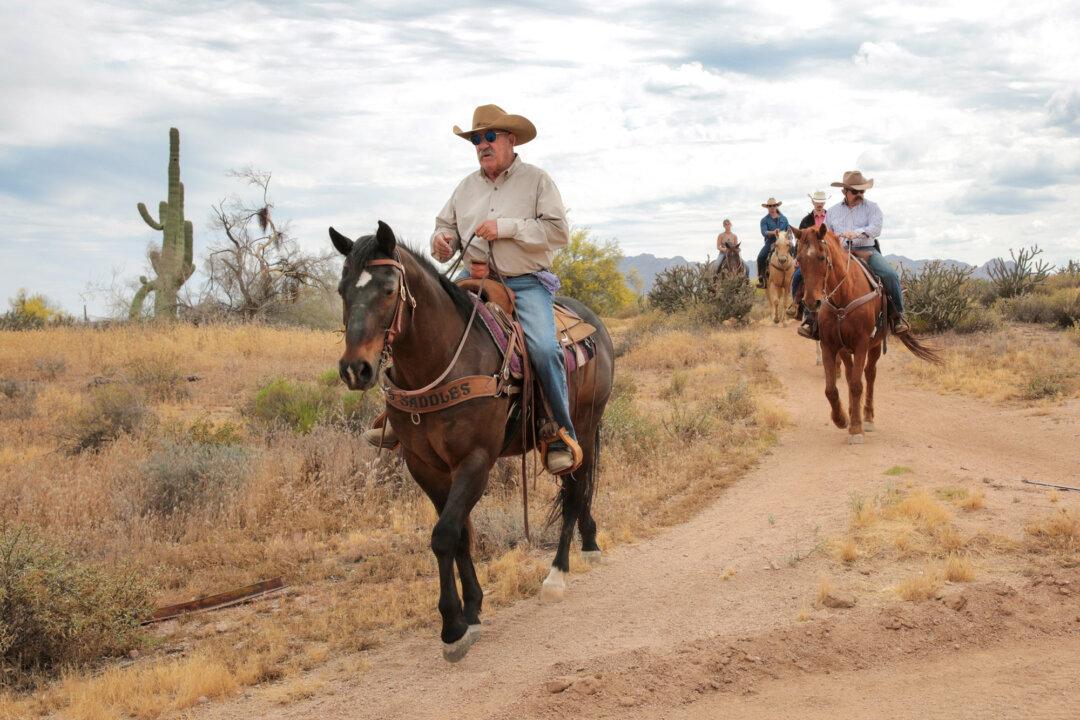 Arizona Cowboy College instructor Rocco Wachman leads attendees on a horseback ride along a trail at the college's facility in Scottsdale, Ariz., on April 13, 2026. (Richard Moore/The Epoch Times)