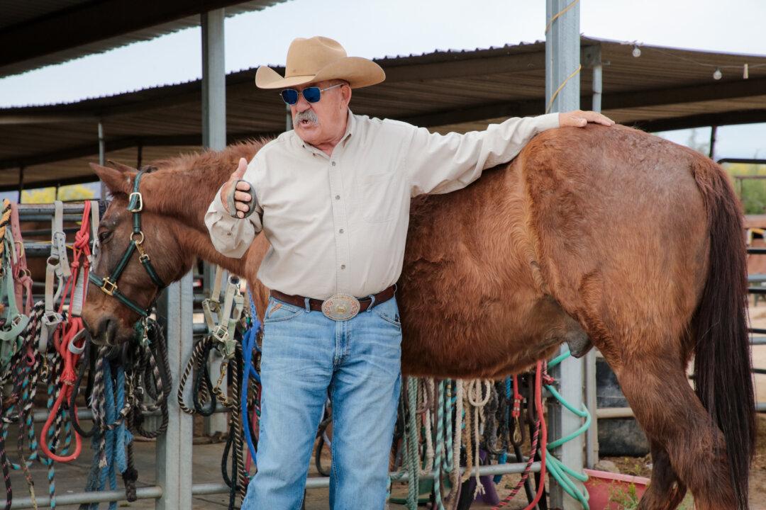 A Taste of American Legacy: 5 Days in Cowboy College