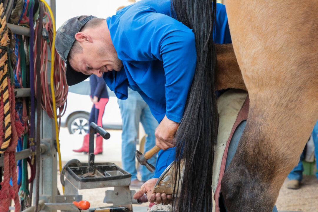 A Taste of American Legacy: 5 Days in Cowboy College