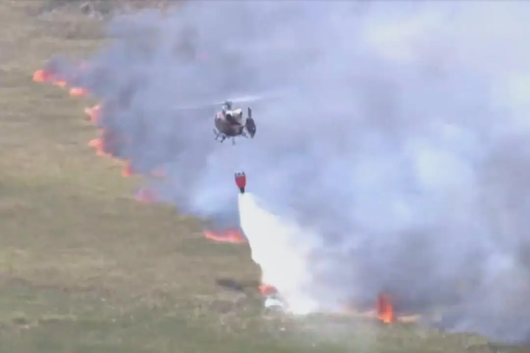 Wildfires Across Georgia and Florida Have Destroyed Nearly 50 Homes and Are Forcing Evacuations