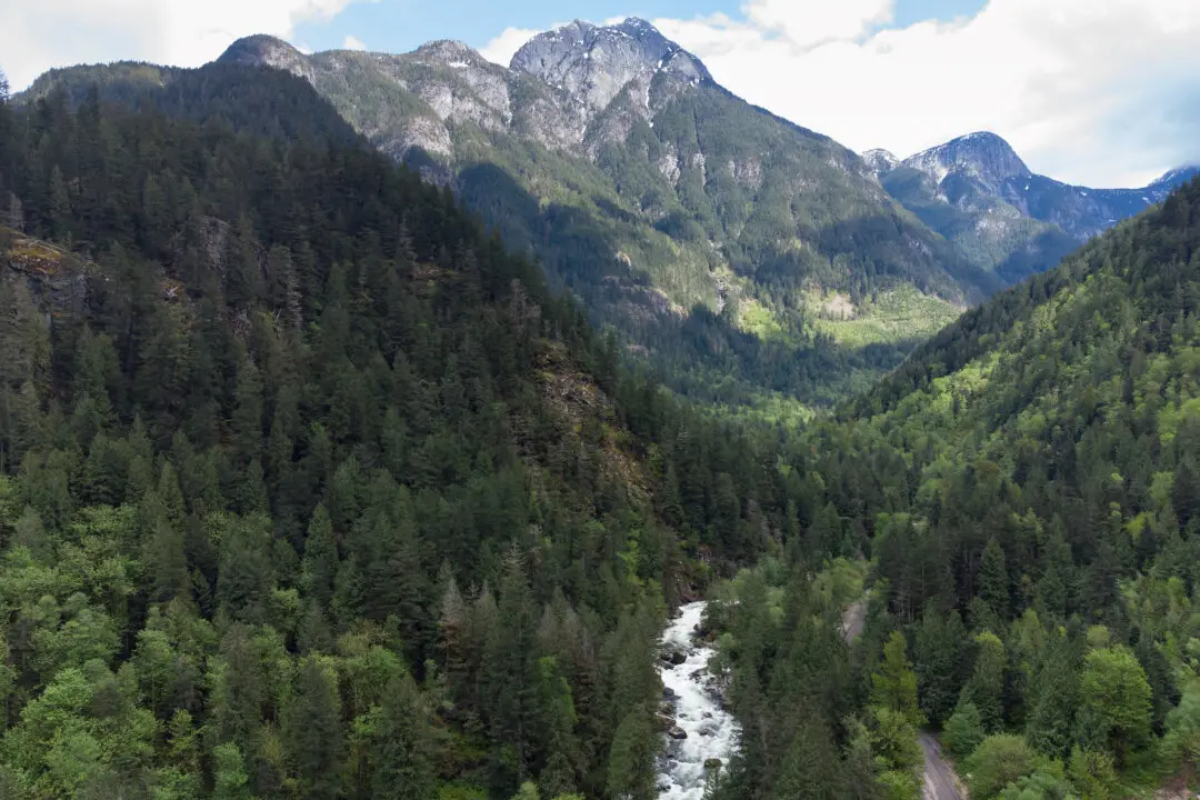 Government Asks Court to Exclude Evidence in BC Trial Over National Security Risk