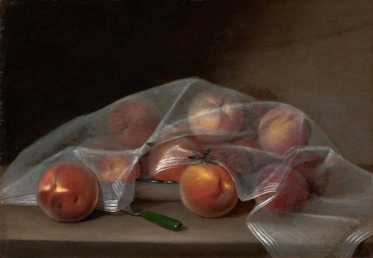 "Peaches Covered by a Handkerchief," 1819, by Raphaelle Peale. Oil on panel; 12 1/2 inches by 18 inches. Philadelphia Museum of Art. (Public Domain)